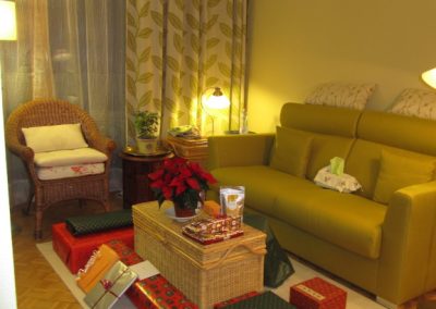 Salon Noël avec baies coulissantes